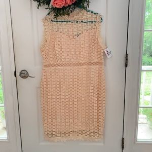 Eyelet lace sheath dress. 3xl